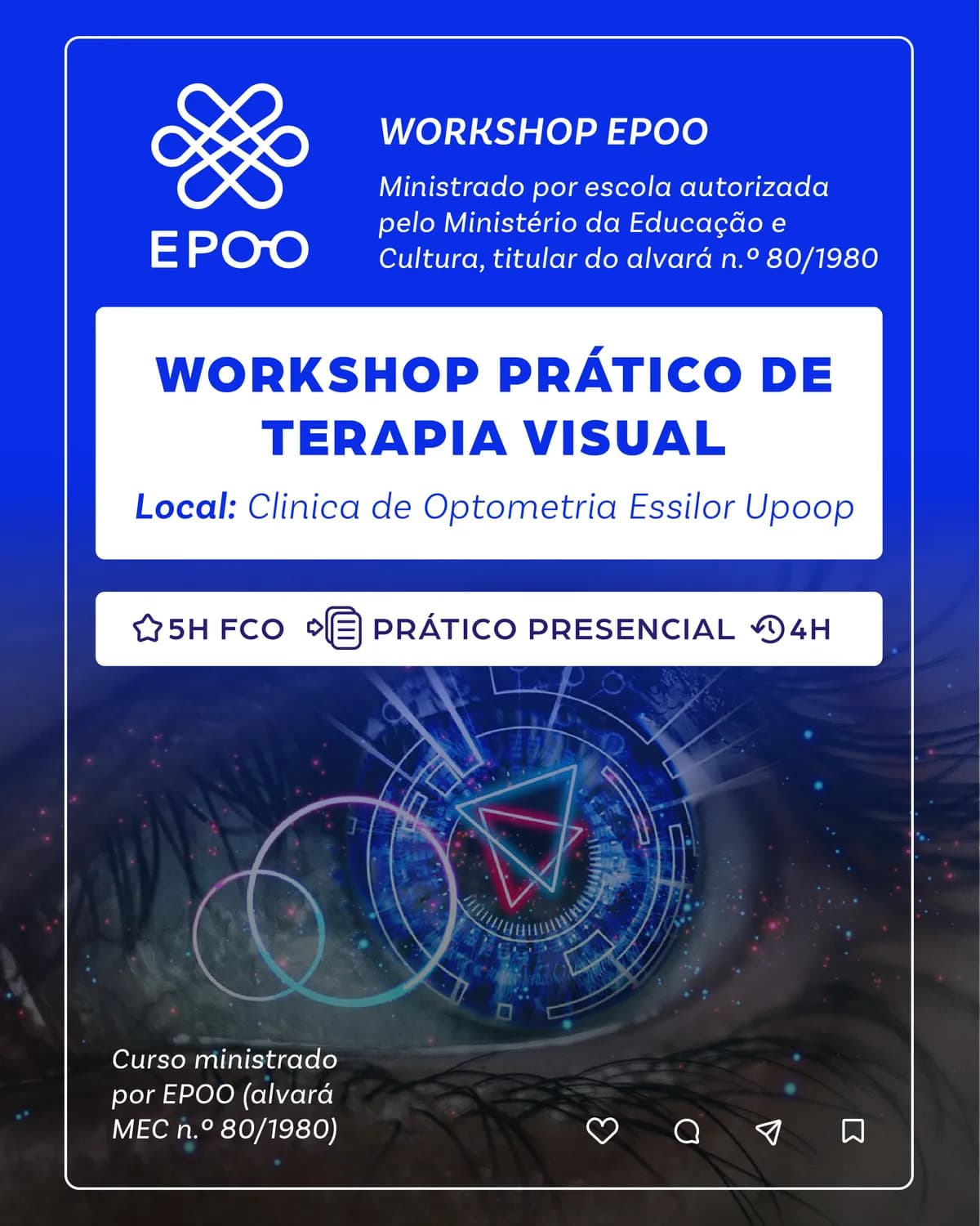 Workshop Prático de Terapia Visual